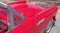 1956 Ford Thunderbird #22